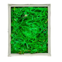 a framed painting of green moss on a black background