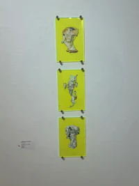 a group of pictures hanging on a wall